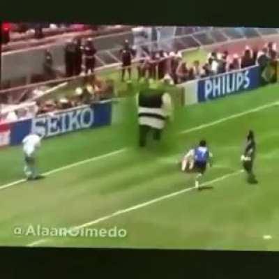 Que lindo es el fulvo