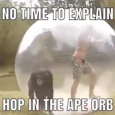 hoping into the ape orb 🦧