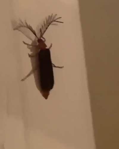 Just going to leave this here.