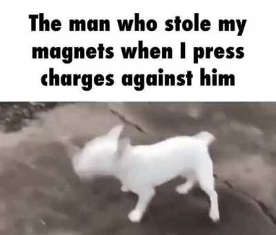 Electricity and Magnum 🔫