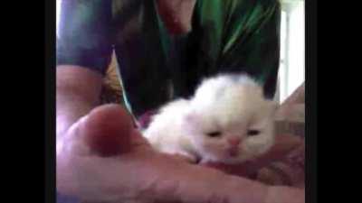 i woudl like to sinceryl apolotgicize for the d wifi mosment ...