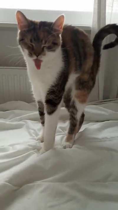 She always sticks her tongue out after a big nap👅