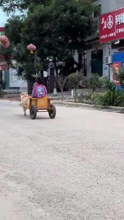 The family dog ​​picks up the little girl from school with the car her father designed.