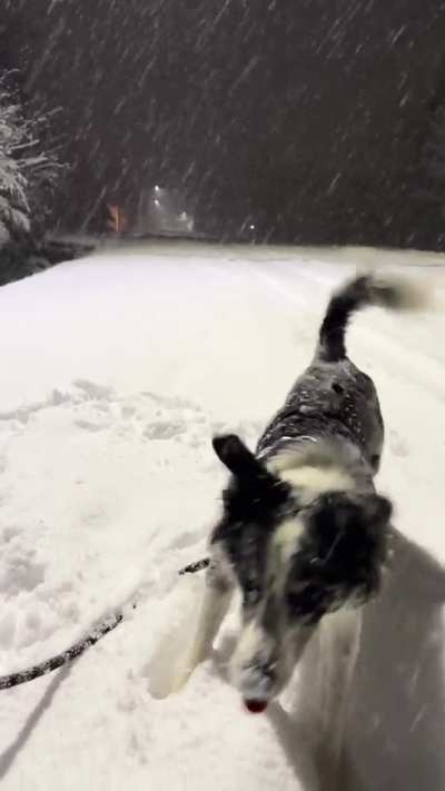 She absolutely LOVES snow