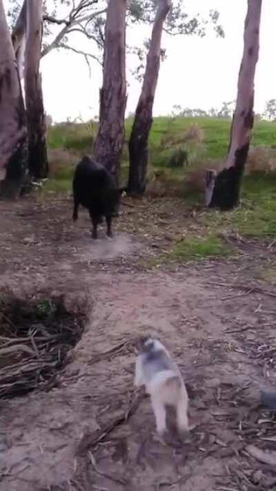 Sometimes size really doesn’t matter