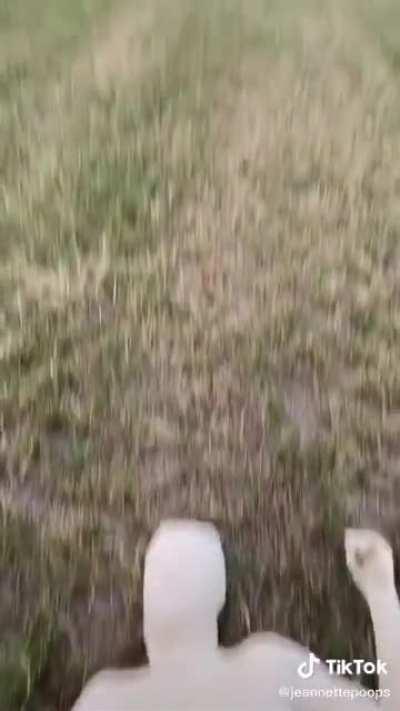 I honestly don't know what's happening here