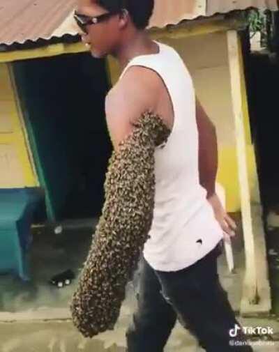 Guy transports a bees colony by carrying the queen is his fist; the rest of the bees crowd around where their queen is.