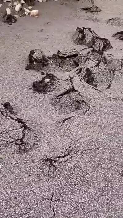 Why The stone sprouted from the ground