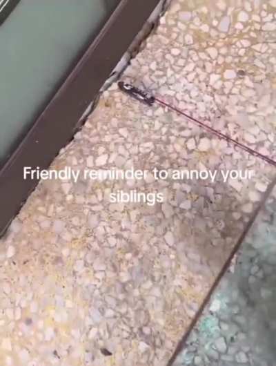 It was just a prank bro