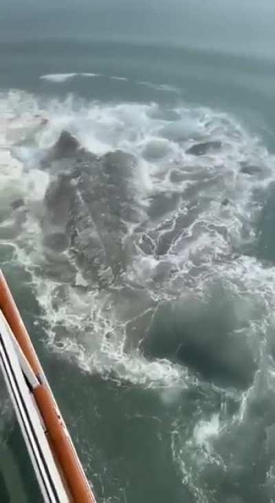 Passing way too close to an enormous rock in the middle of the ocean