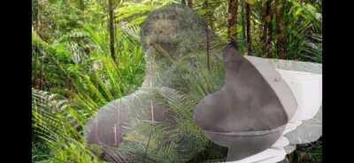 Monkee tuvaleti buluyor