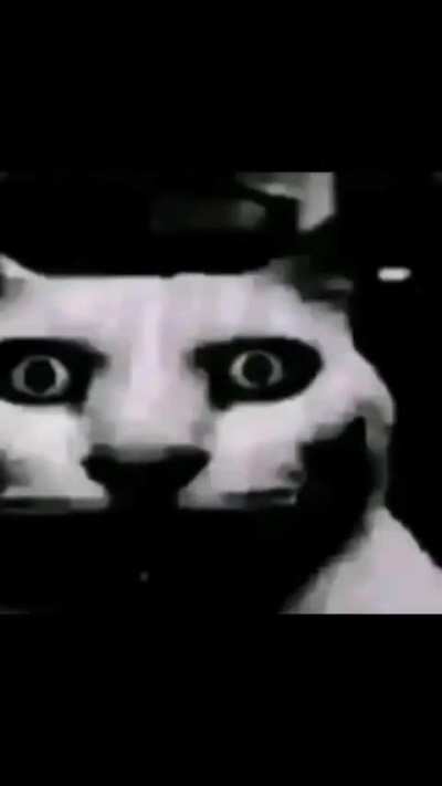 He better transform in sungerbob and fucking die