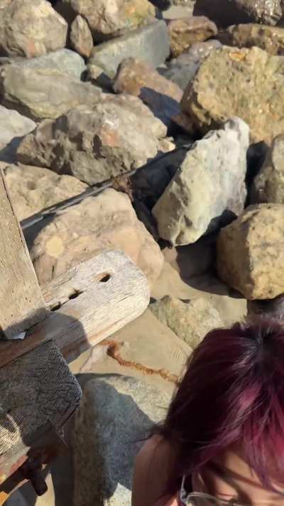 POV: we get to the beach and i immediately pull your pants down