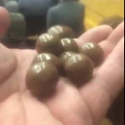 Maltesers
