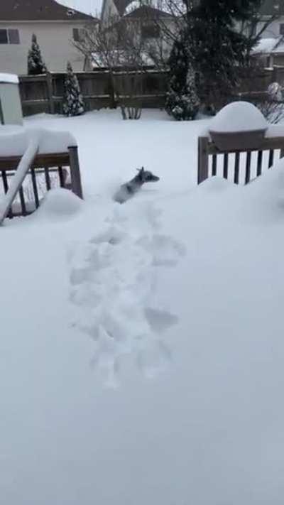 9 year old Tyson is still learning about the world!