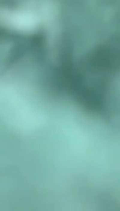 Better view of beirut seaport explosion (8/4/2020)