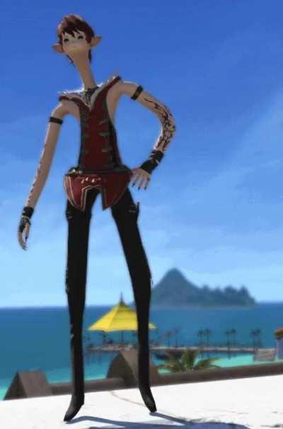 WARNING!!! Do NOT water the sprouts!