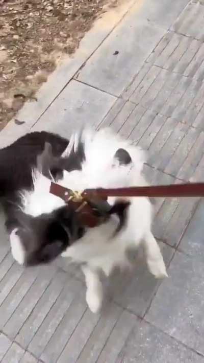 Don't ever do that again