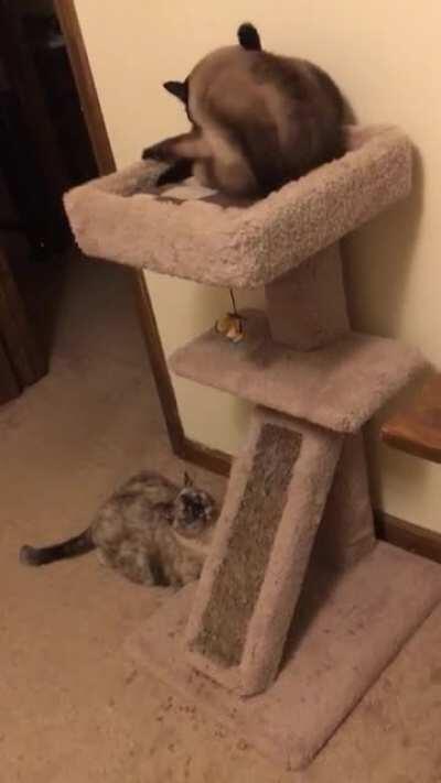 I just happened to be recording at the right moment