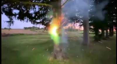 My firework people need me