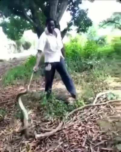 Well. That's one way to do it.