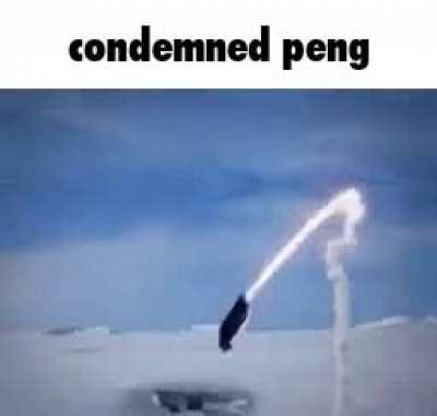 That [fluff]ing penguin missile...