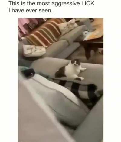 Don’t “f” with me Tom, you see these, DO YOU SEE THESE?