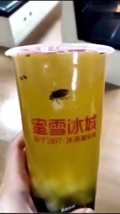 夏日新品氨基酸养生果茶，内含人体所需38种氨基酸