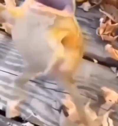 me when small quantities of trolling