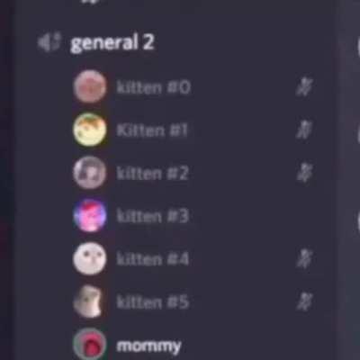 the average discord user