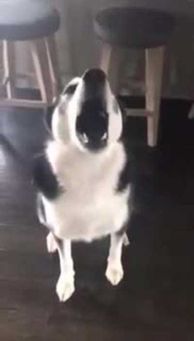 Отказывается слушать беспочвенные обвинения.