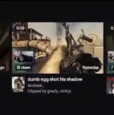 Dumb egg shot his shadow