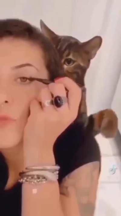 Getting ready for date night but the pussycat is hungry