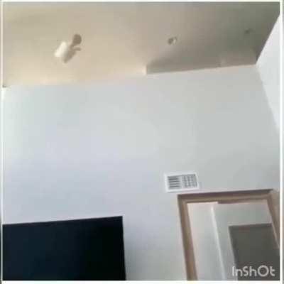 This escalated quickly