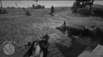 A compilation of my most ridiculous horse accidents on Paul my boah