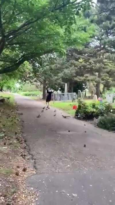 You fucked with squirrels morty!