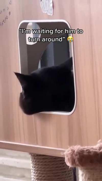 Owning a black cat and he’ll bring you surprises 🥰