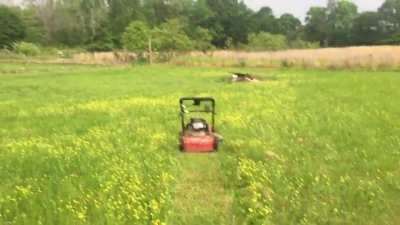 My Mower People Need Me