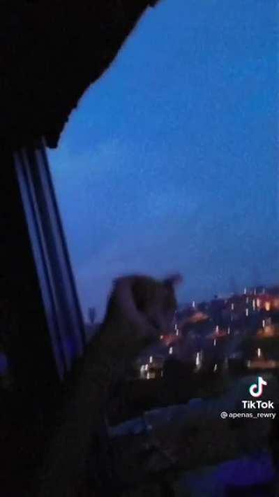 ⬆️🦍🕶️Time kondzilla🕶️🦖⬆️