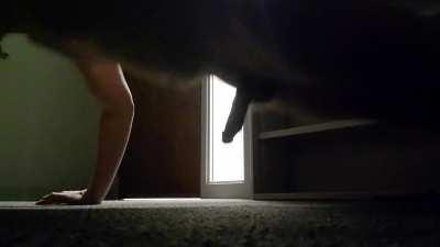 [M] Nude push-ups in the office. How's my form?