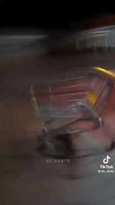 Every mf on TikTok with a brz