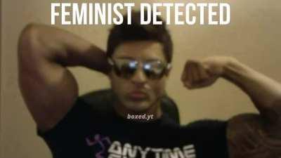 FEMINIST DETECTED