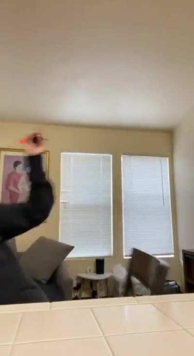 HMC While I shoot a nerf gun at my phone