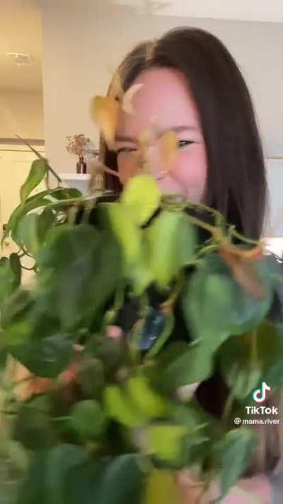 TikTok_Tits - Video #9550