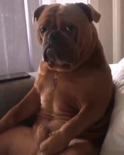 Seriously man, why are we still watching this?