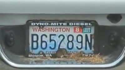 Mouse oblivious or maybe just with its lot