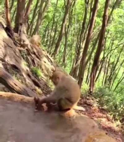 All kids hate bath time