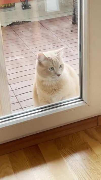 Braincell access has been restricted 🚫