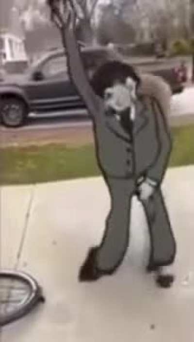 350 Members! Thank you all guys for being forced to join our sub!