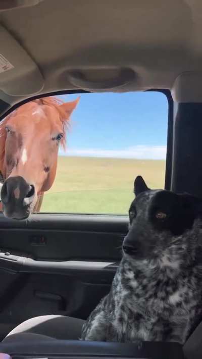 Do You Mind Putting The Window Up